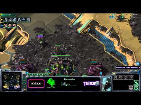 KawaiiRice v Catz pHD HOTS Beta Semis g1