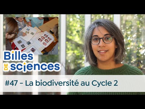 Billes de sciences #47 : Aurélie Froger - La biodiversité au Cycle 2