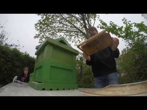 Praktik 2   Utökning plus renslickning av fjolårets skattramar