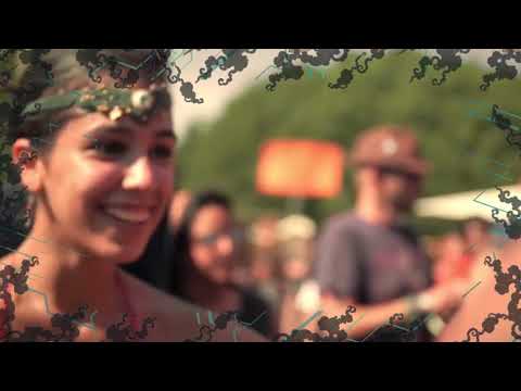 TOTEM Festival - Fractal Mechanics Teaser - Israel