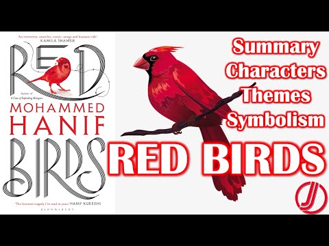 Red Birds by Muhammad Hanif | A Satire on Global Politics | Summary | Themes | Symbols | Analysis