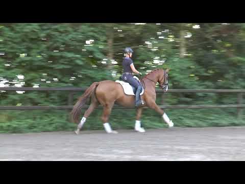 Sic Blossom  (Bøgegårdens boney M / Castro)