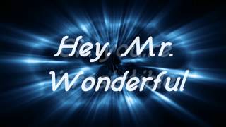 Mr. Wonderful Music Video