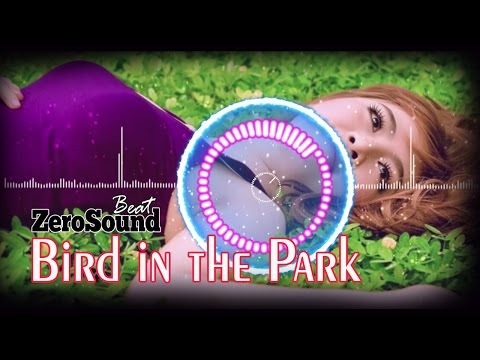 Bird In The Park - 2010s Pop - Busy & Frantic - Composer Stefan Netsman