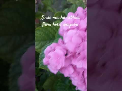 linda manhã ibiapaba Ubajara-Ce Neblina Park hotel