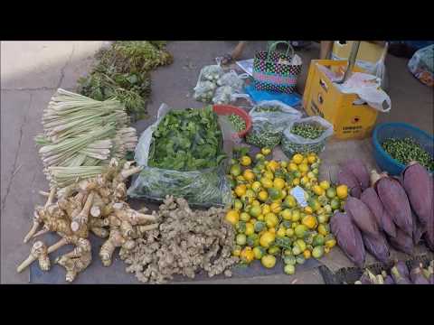 Fresh vegetable market - Laos Market