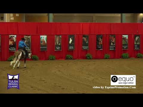 Mighty Joe Gun ridden by Cristiano Coelho  - 2018 Tulsa Reining Classic (Equo Dev. Horse Futurity)