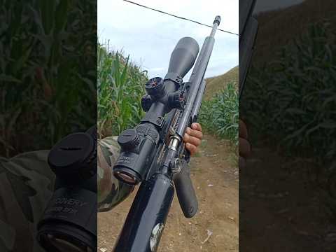 PCP AFC Big Game #shorts