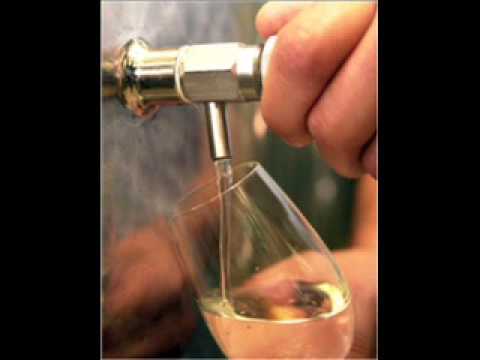 Podvinčani - Daj mi natoči + tekst pjesme