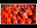 Dalimb Status डाळिंब बागायतदार Status Anar Pomegranate Quality Export