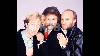 Bee Gees  Just in case extended remix RARE