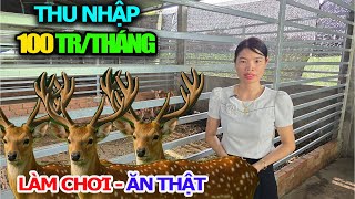 Earning 100 Million VND Per Month From Deer Antler Farming Model, Woman Does It For Fun And Makes...