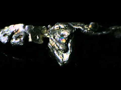 KRISZ DEAK - Black Snake