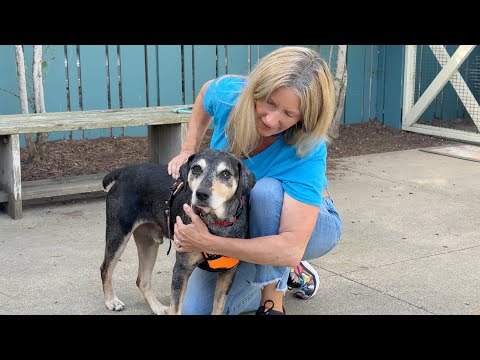 Take a Chance on POMDR