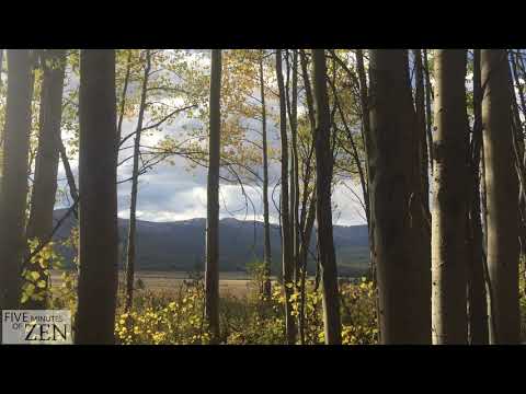 Five Minutes of Zen (FMOZ 035) Fall in the valley