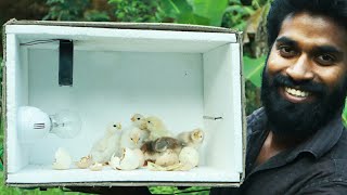 How To Make An Incubator At Home | ഒരു ബൾബ് ഉണ്ടെങ്കിൽ മുട്ട വിരിയിക്കാം | M4tech |
