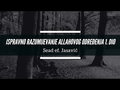 Sead ef. Jasavić - Ispravno razumijevanje Allahovog određenja (kader)