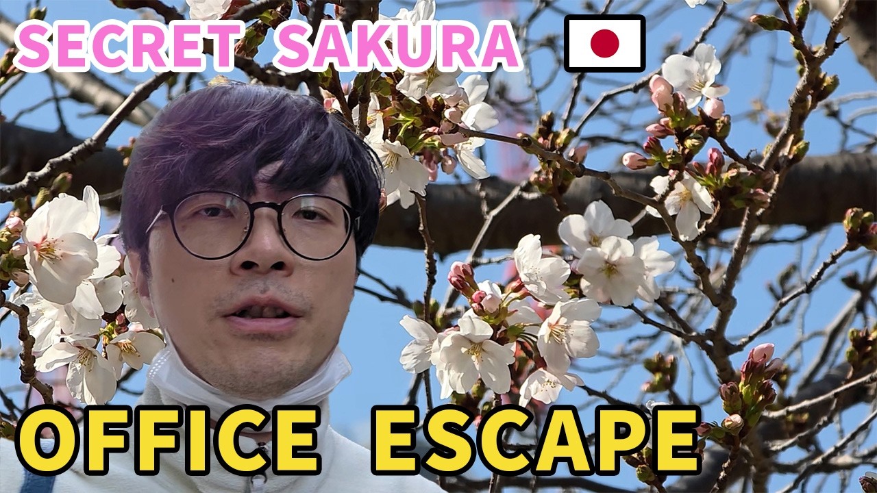 Escaping the Office for a Secret Sakura Spot 🌸 Japanese Salaryman Vlog | Japan vlog
