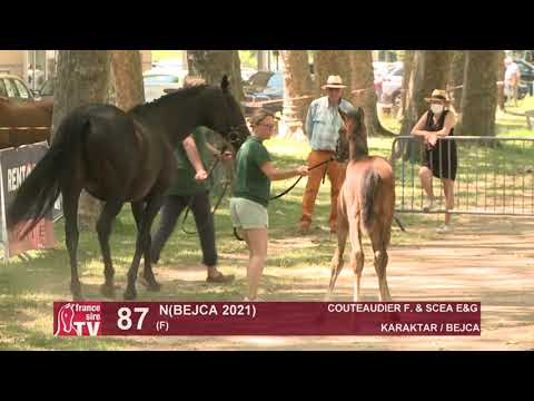 Sprinter Sacré Show 2021 : Lot 87 - N.21 Bejca