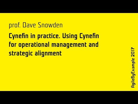 AgileByExample 2017: prof. Dave Snowden - Cynefin in practice