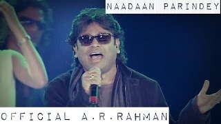 Rockstar  Naadaan Parindey  Official ARRahman HD