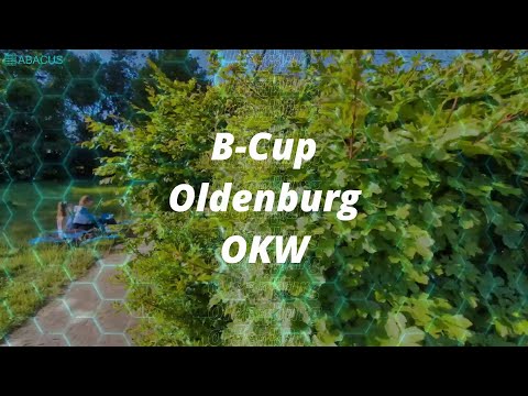 Sandleben Beachvolleyball B-Cup Oldenburg 2025 – Perfektes Wetter und bester Sound!