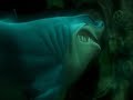 Finding Nemo I M Having Fish Tonight