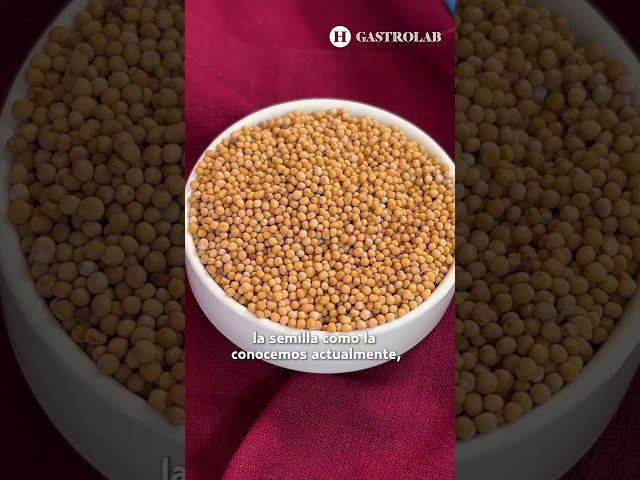 Vídeo relacionado con Maille Mostaza De Dijon De La Miel (230g) (Paquete de 2)