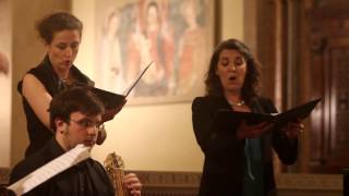 La fonte musica, musica sacra nel tardo medioevo