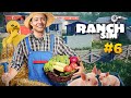 ON SE MET À L'AGRICULTURE ! ► RANCH SIMULATOR Ft. GOUGOUL #6