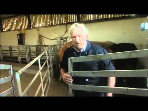 Dr. Sara May, Allergy and Immunology