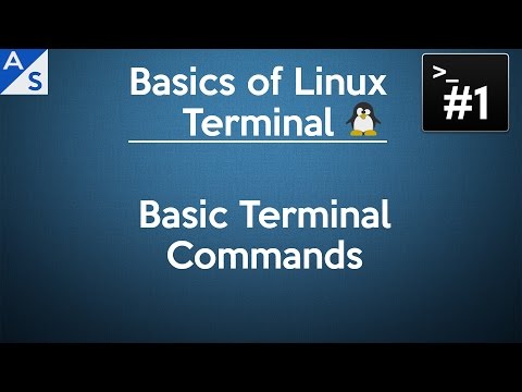 Basics of Linux Terminal #1: Basic Terminal Commands