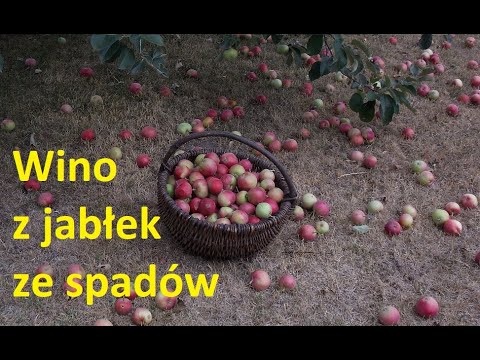 Wino z jabłek  Gotowanie na Winiarach