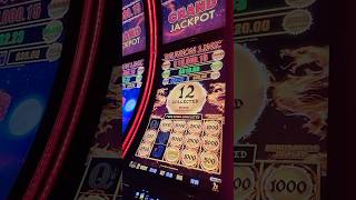 Grand Jackpot Win on Dragon Link — Full Breakdown & Transcript