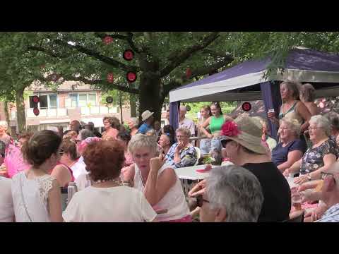 Muziek in het park vierlingsbeek