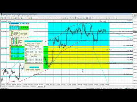 Video FiboPlusSignal