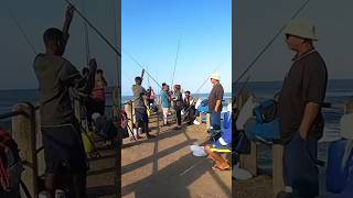 🇿🇦Things to do in Durban South Africa #walkafrica #beach #fishing #fish