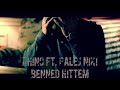 Benned hittem (ft. Palej Niki)