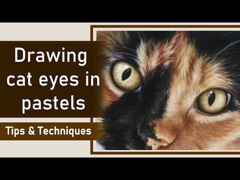 How to draw cat eyes in pastels | Pastel tips and techniques
