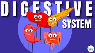 Digestive System: Ingestion to Egestion Explained in Simple Words