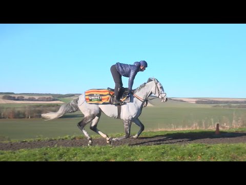 Buzz | Howden Long Walk Hurdle contender