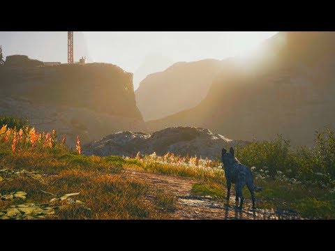 A Good Boy Named Boomer - Far Cry 5