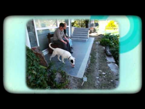 Jimmy a Calice Ligure