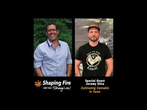 Shaping Fire Ep. 56 - Cultivating Cannabis in Tents with Jeremy Silva