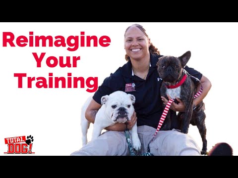 Total Dog Atlanta video.