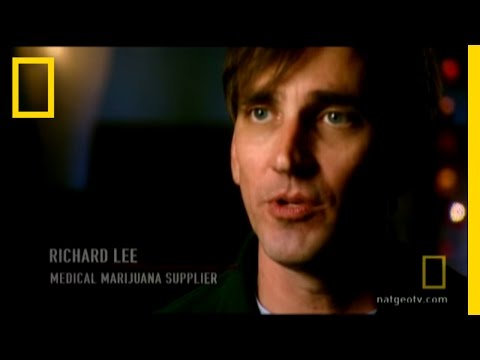 image-What is a cannabis college?