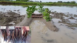 Download lagu Creative Deep Hole Brick Eel Trap  -Amazing Two Boys Catch Eel With Brick Hole Eel Trap mp3