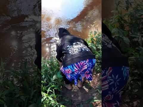 Rio São Francisco Inaja Paraná.