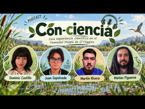 Con-ciencia | Explorando el Humedal Maipú de O’Higgins: ciencia, educación y conservación