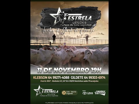 ESTRELA LEILÕES -  11 / 11  / 2025 -  18:45 HS. - Morrinhos  - Goiás